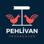 PEHLIVAN-TAVUKCULUK